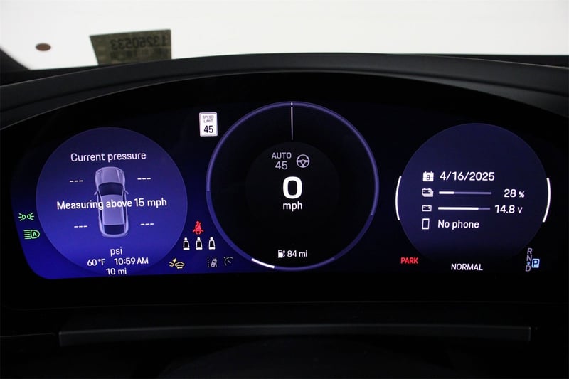 Macan Electric
